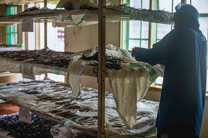 "Ugandan vanilla farmer groups participating in the System of Trust to ensure 100% digital traceability and improve household livelihoods."